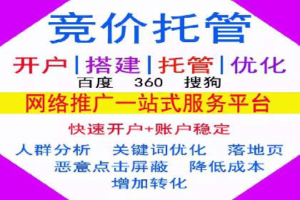 成功SEM竞价托管案例分析报告